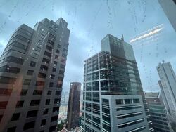 PLUS (D1), Office #450658751